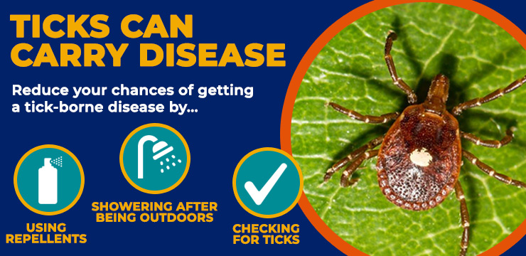 ticks can carry disease